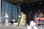 Thumbs/tn_Vrijdag Castlefest 2015 006.jpg